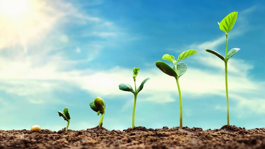 Measuring KPIs: Do Your Actions Align With Your Vision?